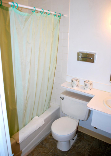 Bathroom 3, Central Motel Great Falls, Cascade