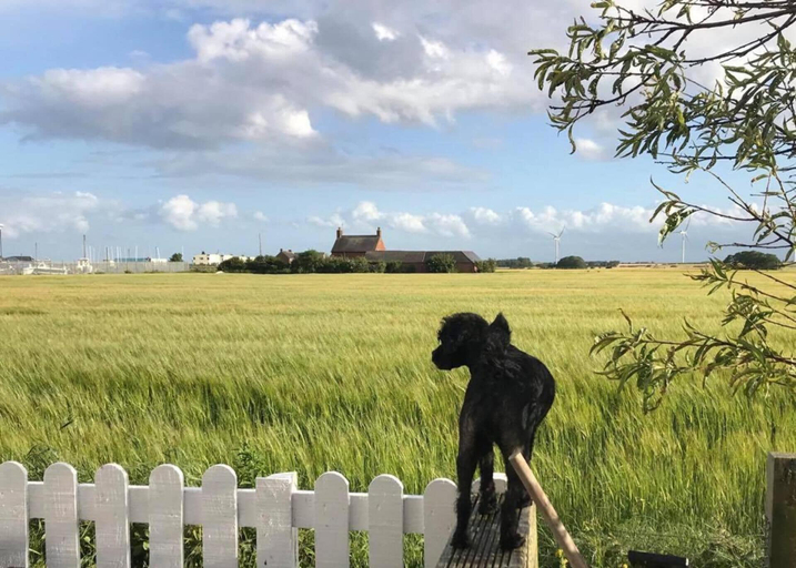 Others 5, Dog Friendly Bed & Bowl Beach Chalet, East Riding of Yorkshire