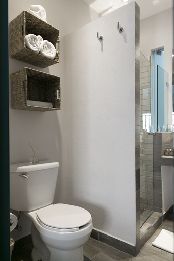 Bathroom 4, La Palomilla, Mexico City