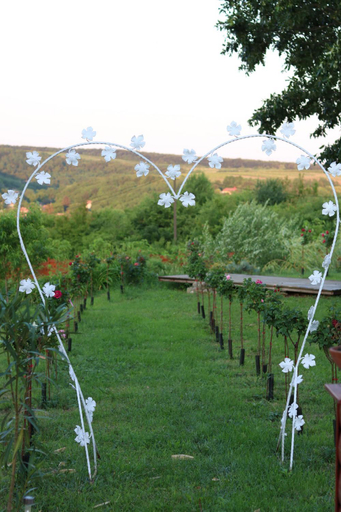 Others 4, Rozsapark Vendeghaz, Eger