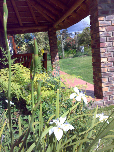 Others 5, Coral Tree Cottages, Eden