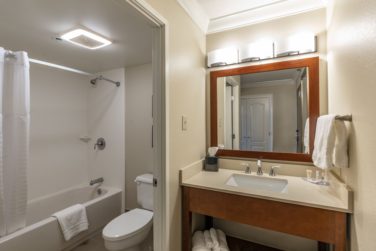 Bathroom 5, Comfort Inn & Suites At Copeland Tower, Jefferson