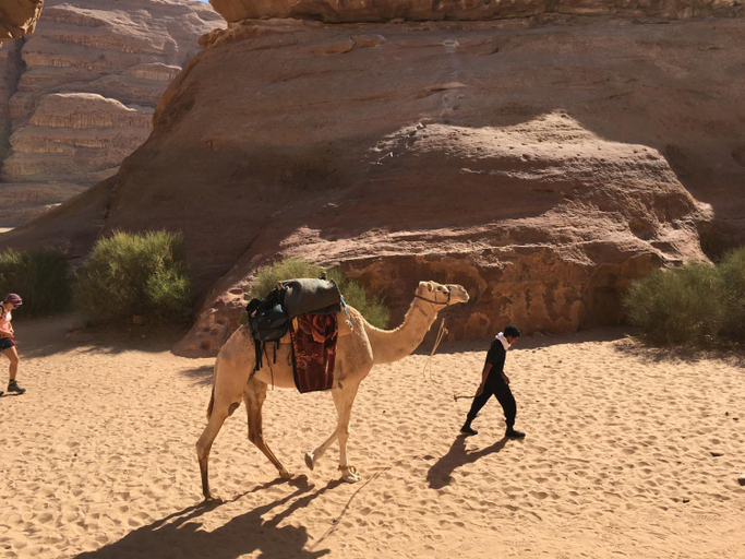 Others 4, Jamal Rum desert, Quaira