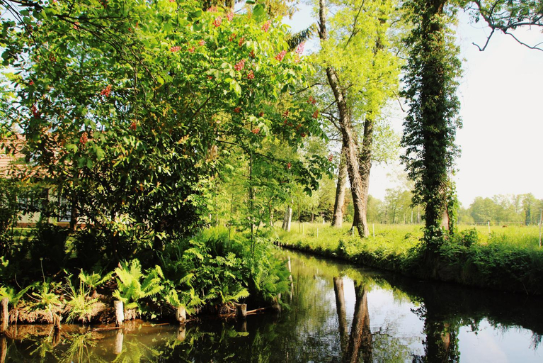 Others 4, Landgasthof Zur Wildbahn, Spree-Neiße
