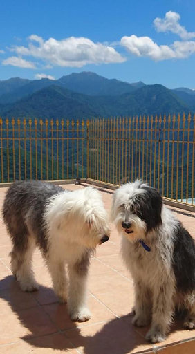Others 2, Moose & Squirrel, Nantou
