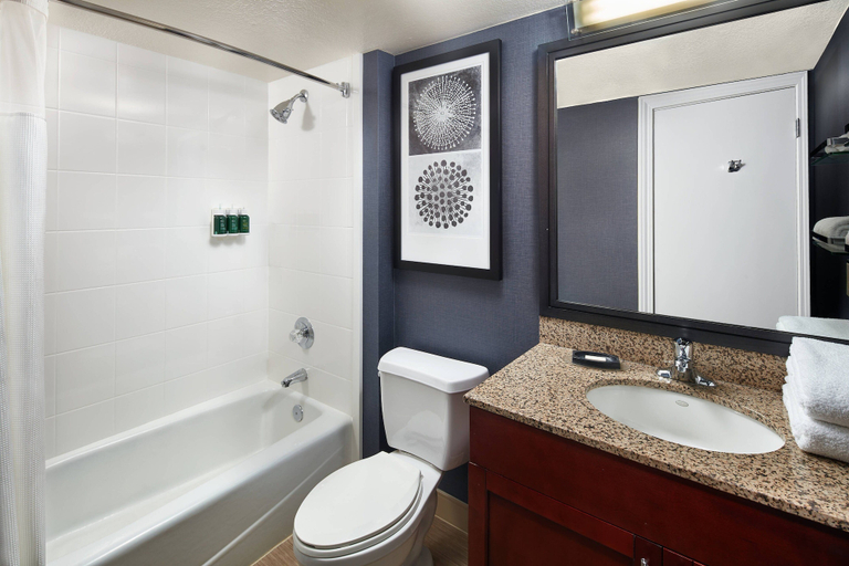 Bathroom 4, Residence Inn by Marriott Irvine Spectrum, Orange