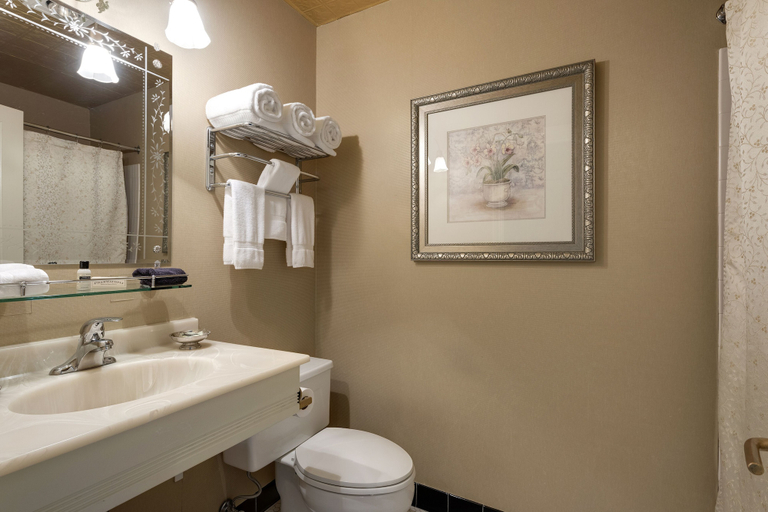 Bathroom 4, Nicollet Island Inn, Hennepin