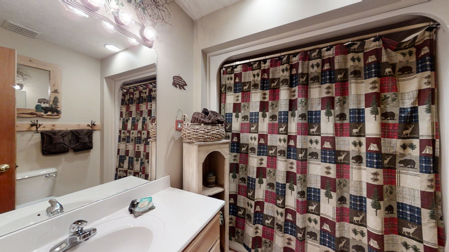 Bathroom 4, 3 Bears 1 Bedroom, Sevier