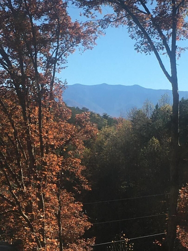 Others 3, South Side Serenity 2 Bedroom Cabin by RedAwning, Sevier