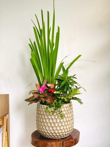 Others 4, Anh Dao Hotel Da Lat, Đà Lạt