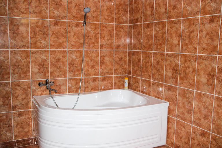 Bathroom 2, Hotel Corina, Borsa