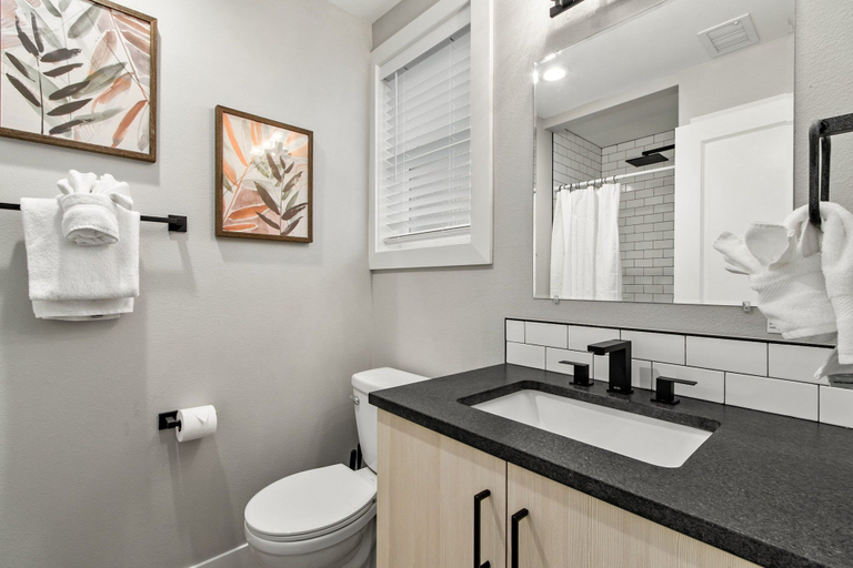 Bathroom, Spacious Downtown Apartment – Walk to Old Town Fc!, Larimer