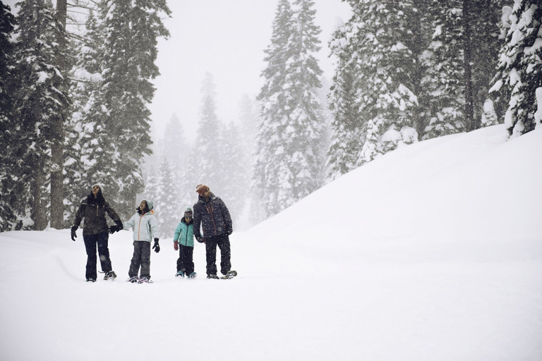 Snow and ski sports 2, Modern Hotel-Style Studio - Timber Creek Lodge #210 by RedAwning, Placer