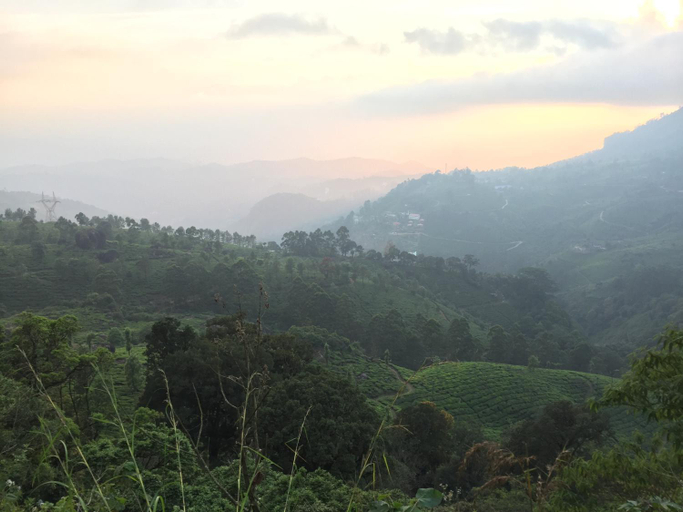 Others 5, THE CLIFF RESORT, Idukki
