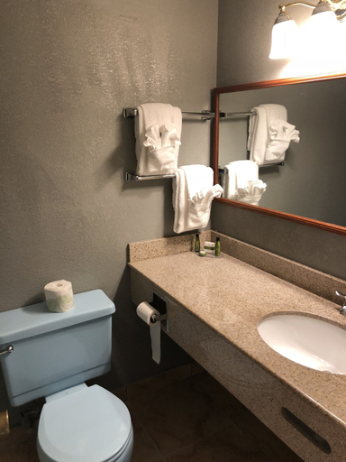 Bathroom 3, Latham Inn, Albany