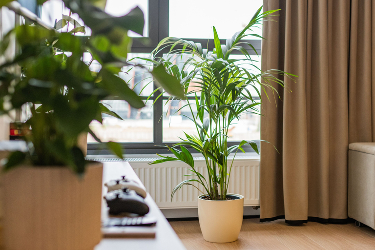 Room 2, Letnica - Seaside Apartment 1 by GA, Gdańsk City