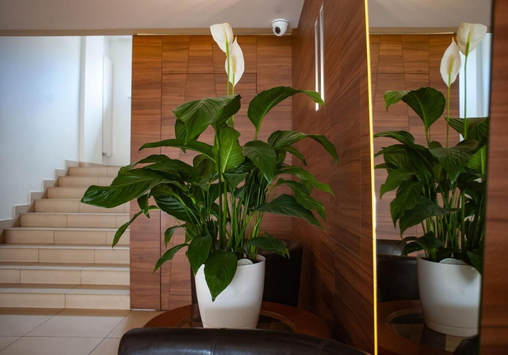 Bathroom, Hotel Livia, Wołomin