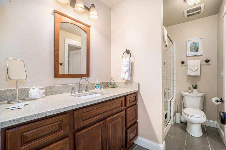 Bathroom 3, Gorgeous Guest Suite! Walk to Old Town & Csu!, Larimer