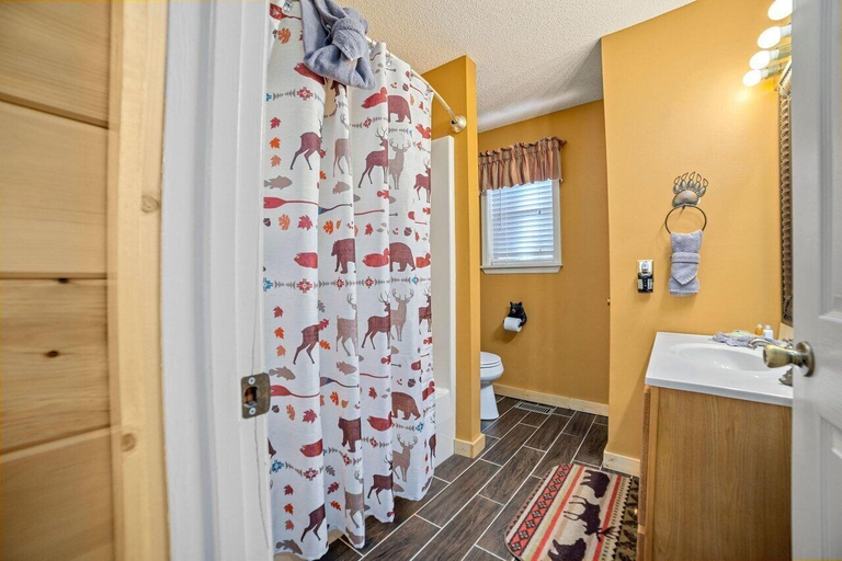 Bathroom 3, Strollin' Bear, Sevier