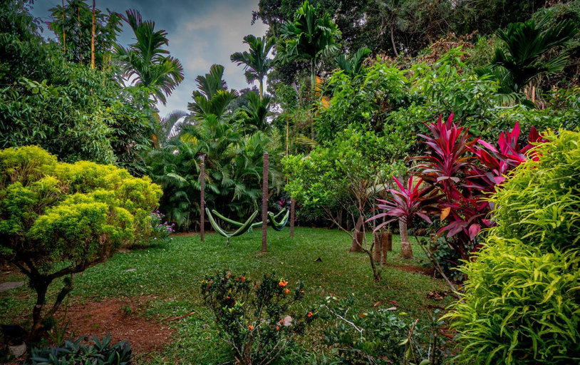 Others 5, Your Dream Home Mirissa - Walk to Mirissa Beach, Weligama