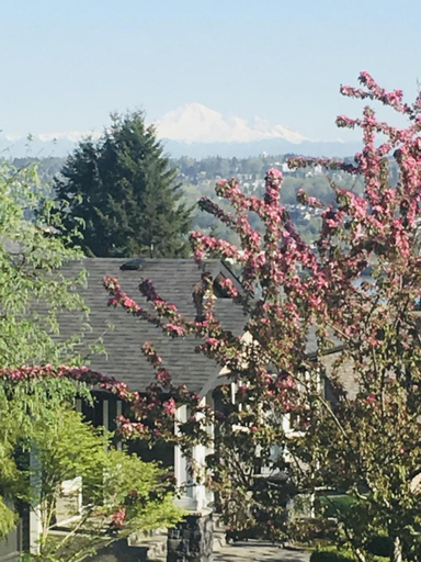 Others 3, Lovely J Home -Stunning river view cozy two bedroom private suite, Greater Vancouver