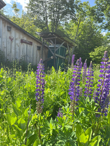 Exterior & Views 4, Streeter Mountain Farm, Grafton