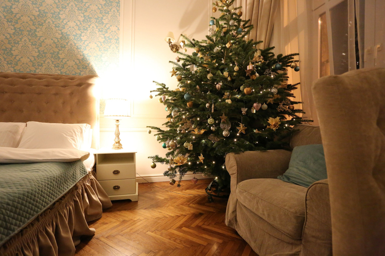 Bedroom 2, Blueberry Apartments, Kraków City