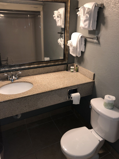 Bathroom, Latham Inn, Albany