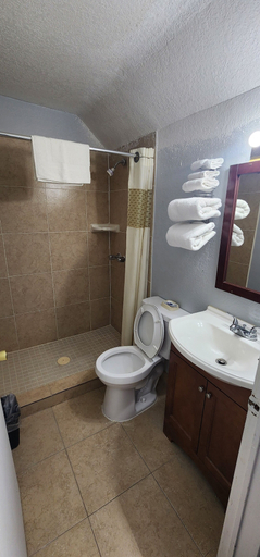 Bathroom 4, Alamo Motel, Taylor
