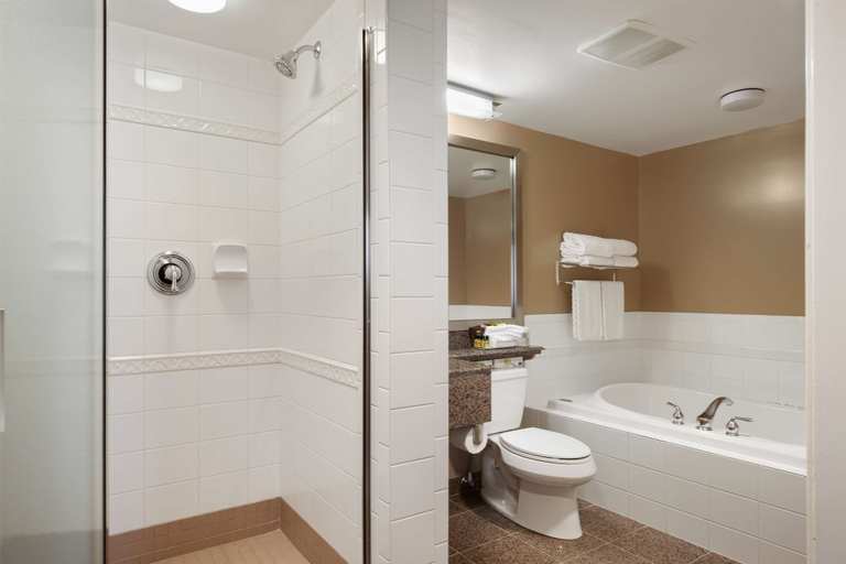 Bathroom 4, Best Western Plus Columbia River Hotel, Kootenay Boundary