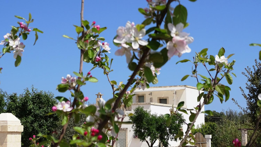 Others 5, LE FOGGE - casa in affitto, Brindisi