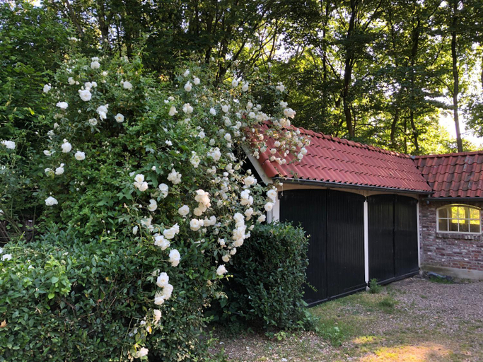 Others 3, de Zeilende kraay, Cuijk