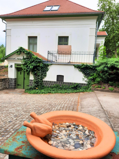 Others 5, Vendeghaz a Csabay Kuriahoz, Kecskemét