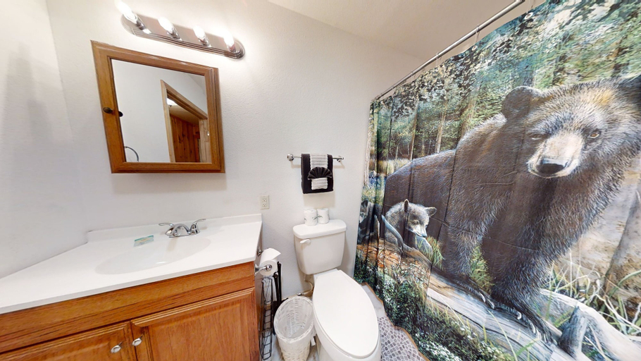 Bathroom 3, Tranquil Valley Retreat, Sevier