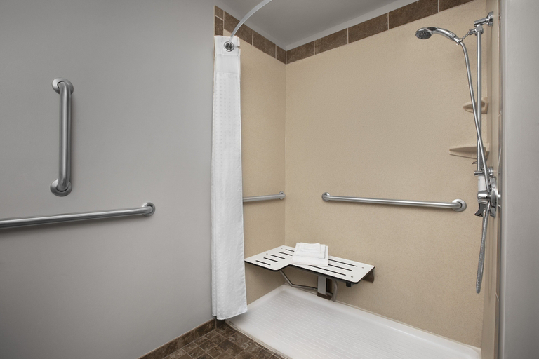 Bathroom 4, Holiday Inn Hotel & Suites Durango Downtown by IHG, La Plata