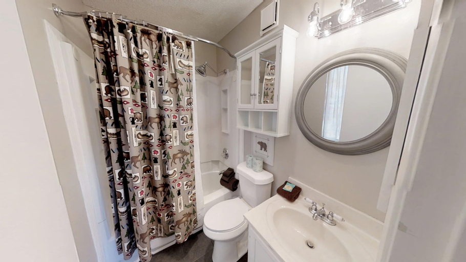 Bathroom, Smoky Top Summit, Sevier