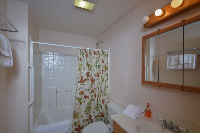 Bathroom 3, Snowbound, Garrett