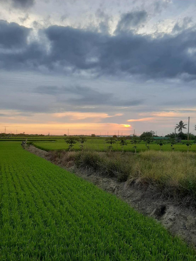 Others 5, Boanju Homestay, Chiayi County