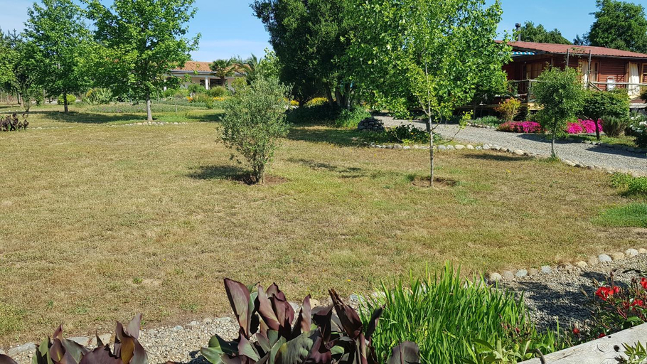 Surrounding environment 5, Hostal La Maravilla, Talca