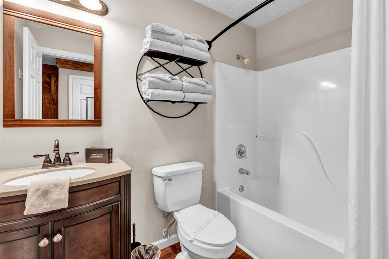 Bathroom 4, Just Poolin' Around, Sevier