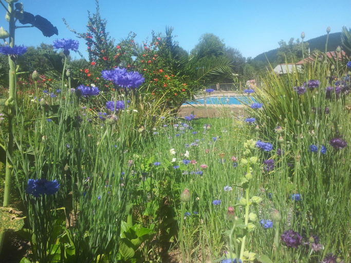 Swimming pool 2, Hostal La Maravilla, Talca
