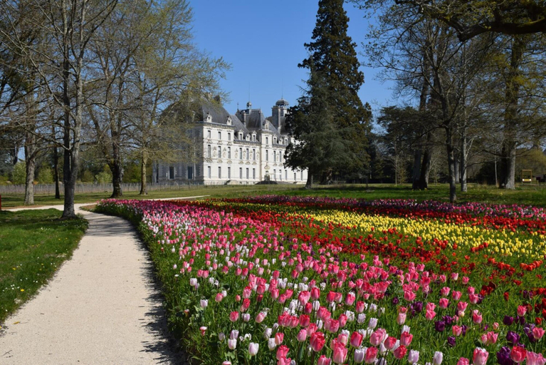 Exterior & Views 2, Hôtel Du Cygne, Loir-et-Cher