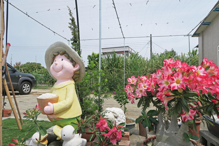 Others 5, Boanju Homestay, Chiayi County
