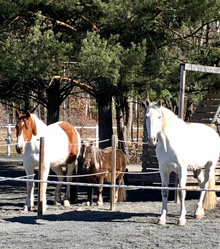 Others 3, Annehill i Bro, Upplands-Bro
