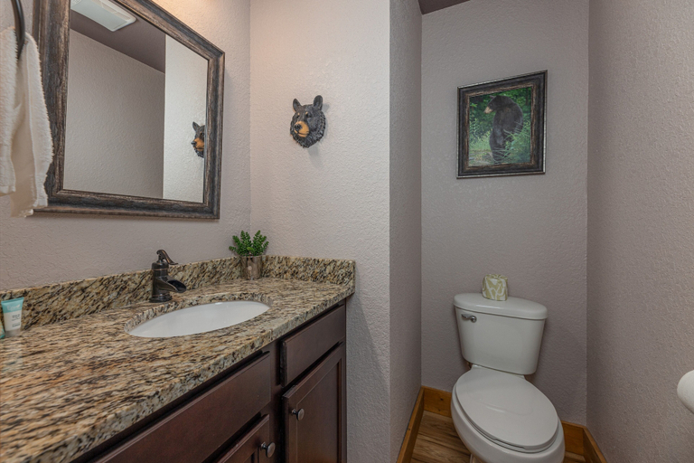 Bathroom 3, Sweet Baby James, Sevier