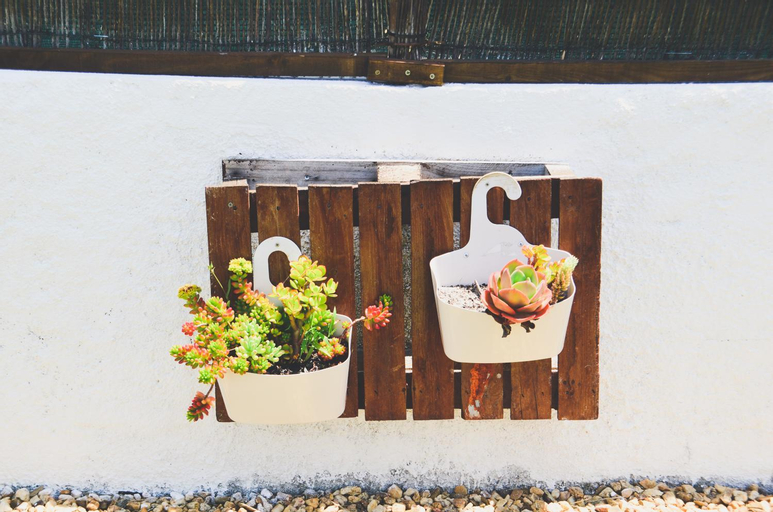 Food & Drinks, Tree House - Casa Figueira, Sesimbra
