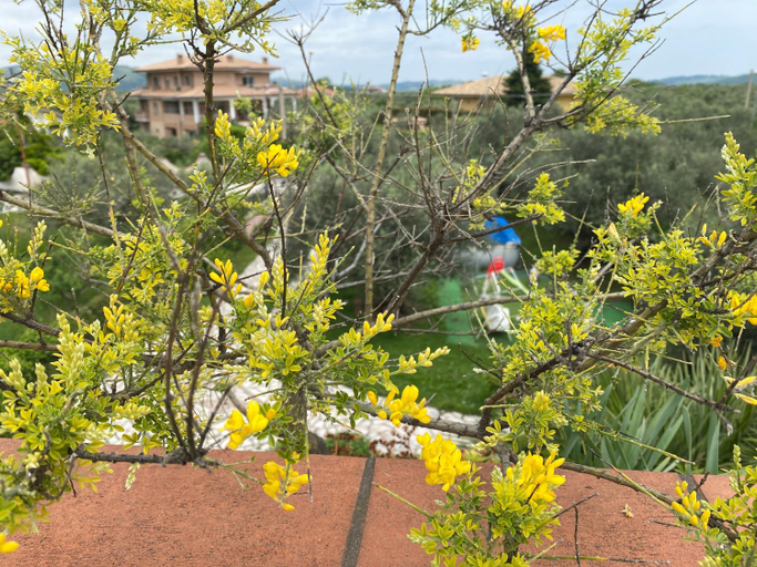 Others 2, Villa Ulivi, Pescara