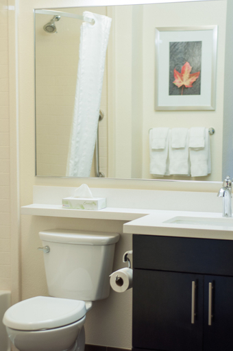 Bathroom 5, Candlewood Suites FORT COLLINS, Larimer