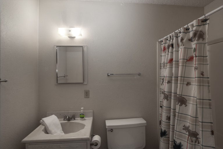 Bathroom, Mccarthy House, Lincoln