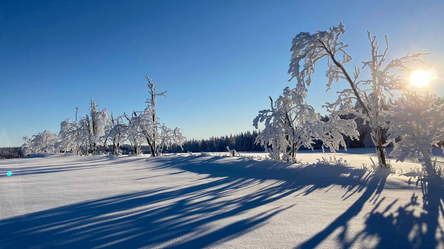 Others 5, Pension zur 23, Sächsische Schweiz-Osterzgebirge